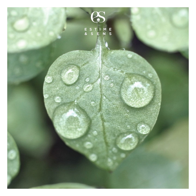 Soins visage Bio actif 55 min