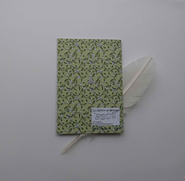 Le panda roux de Noël