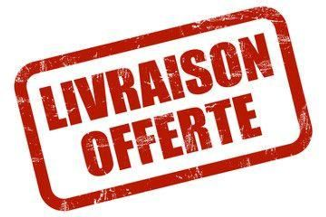 Livraison Lyon et Métropole de Lyon 