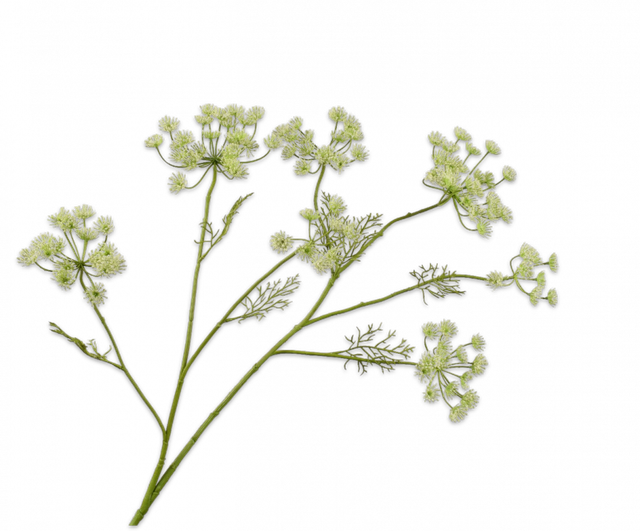 Silk-Ka Dille Tak Groen