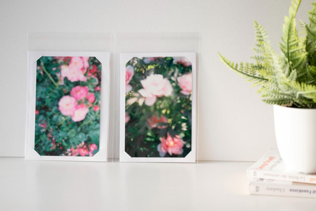 Tirage photo Fleurs floues