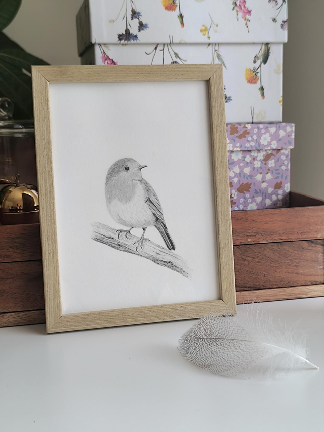Robin  -giclèe print