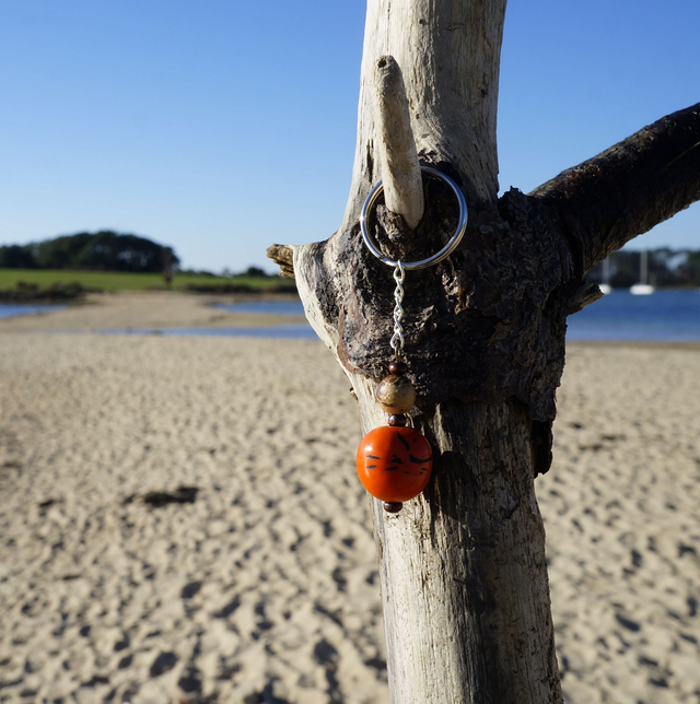 Double graine Orange/Marron