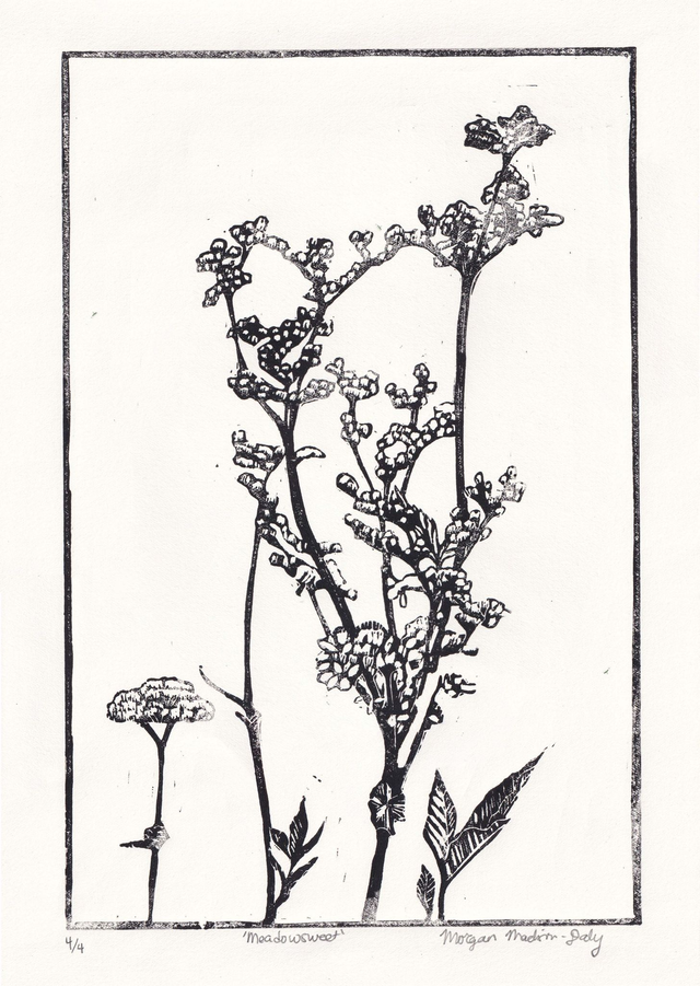 'Meadowsweet' Linocut Print