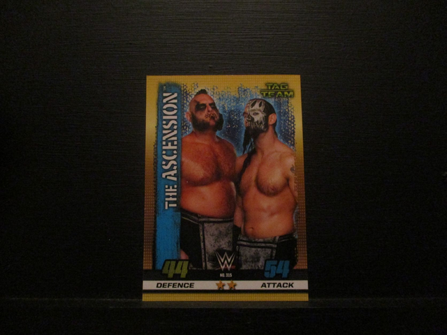 The Ascension - Tag Team Slam Attax 10th Edition Original Trading Card #315