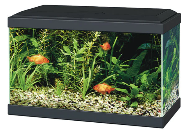 Ciano Aqua  Aquarium With LED Light - Black