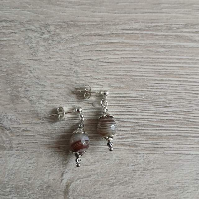 Botswana Agaat oorbellen – zilverkleurige RVS (1.349)