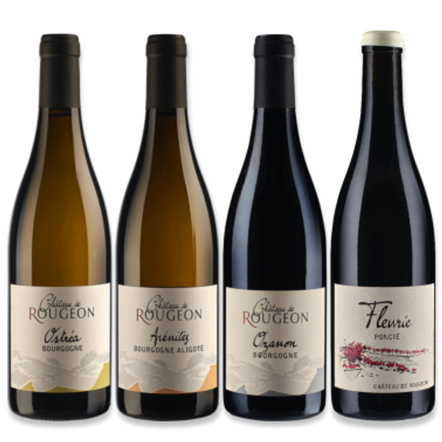 LA BIG BOX - 12 bouteilles panachées  