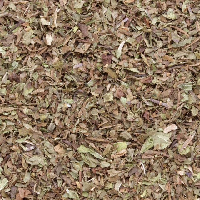 Kruizemunt (Spearmint) (Mentha spicata) - BIO