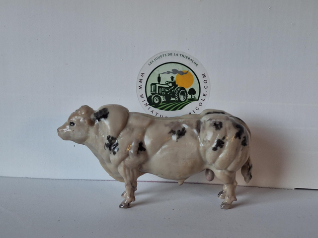 Miniature taureau bleu blanc belge BBB3