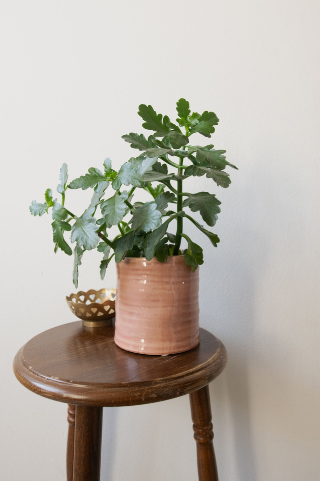 Pot vieux rose 🧩 Mix &amp; Match