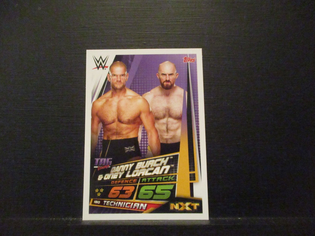 Danny Burch &amp; Oney Locan - Tag Team Slam Attax Universe Original Trading Card 180