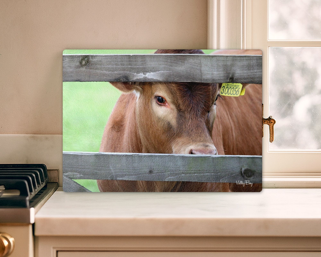 "Peeka Moo" Glass Worktop Saver  