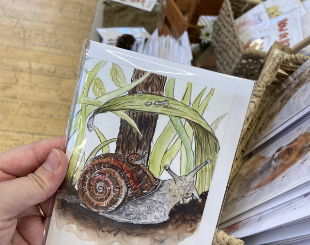 ‘Seymour’ A6 Card