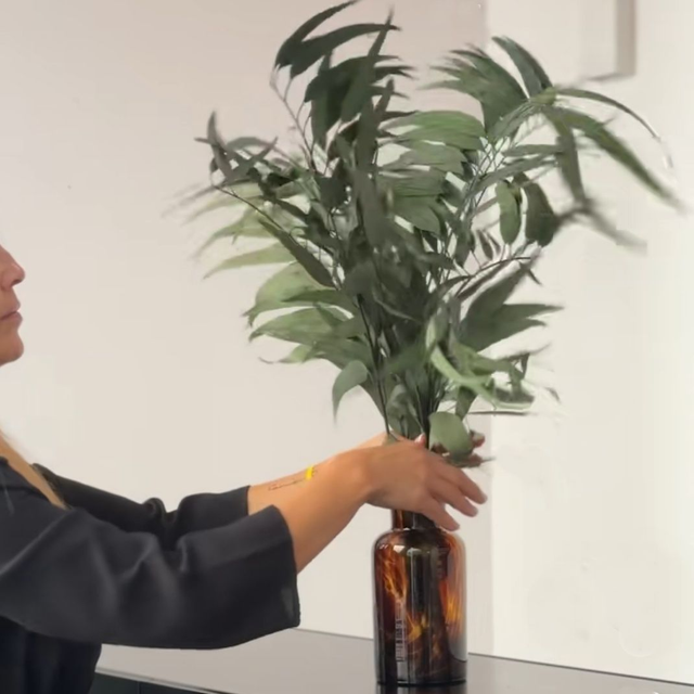 009 Eucalipto PRESERVADO Pendula. Verde. Paquete