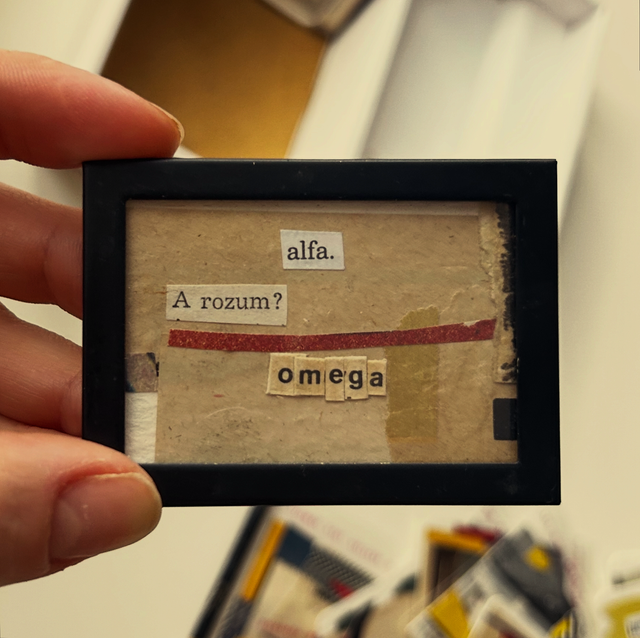 Miniaturka w ramce nr 2 - alfa