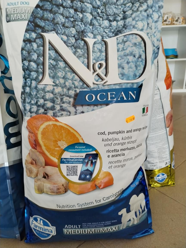 N&amp;D OCEAN Medium&amp;maxi Adult 