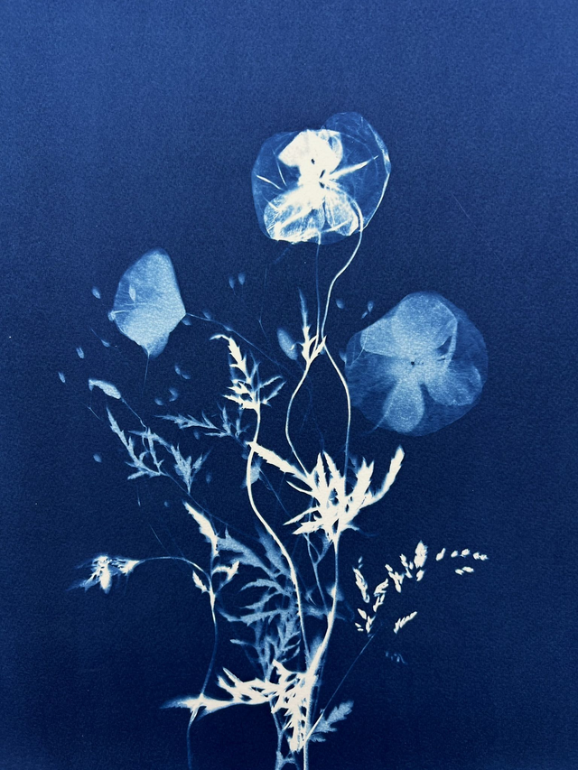 &quot;Un jardin enchanté&quot; Cyanotype original