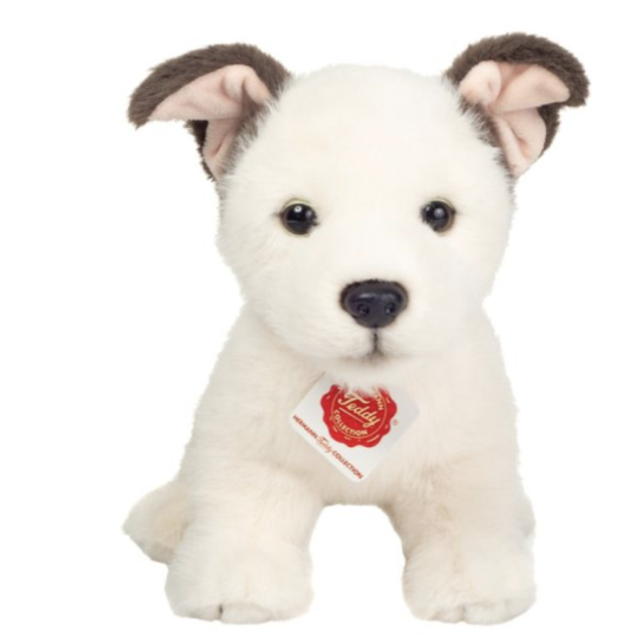 Teddy Hermann Jackrussell
