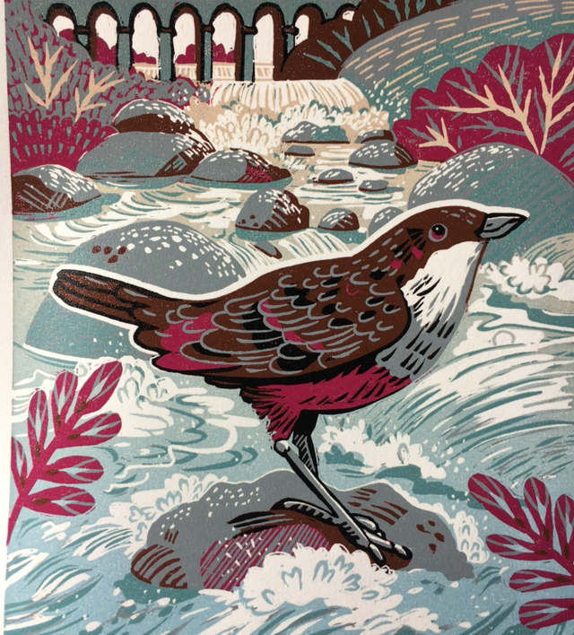 Dipper at Monsal Dale