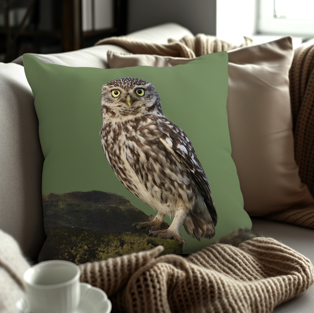 “Little Owl” Cushion 