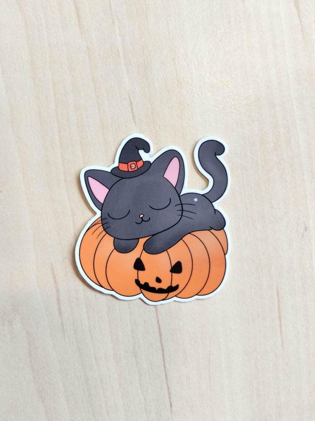 Le chat sur une citrouille