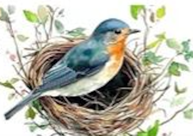 Acquerello pomeriggio Da Giovedi 22 Gennaio (dalle 16:00 alle 18:00) iva compresa