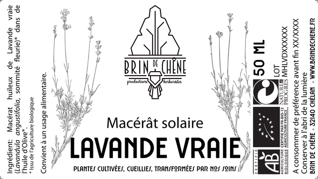 Macérat huileux de Lavande vraie