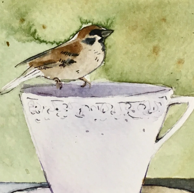 Képeslap, a veréb teadélutánja