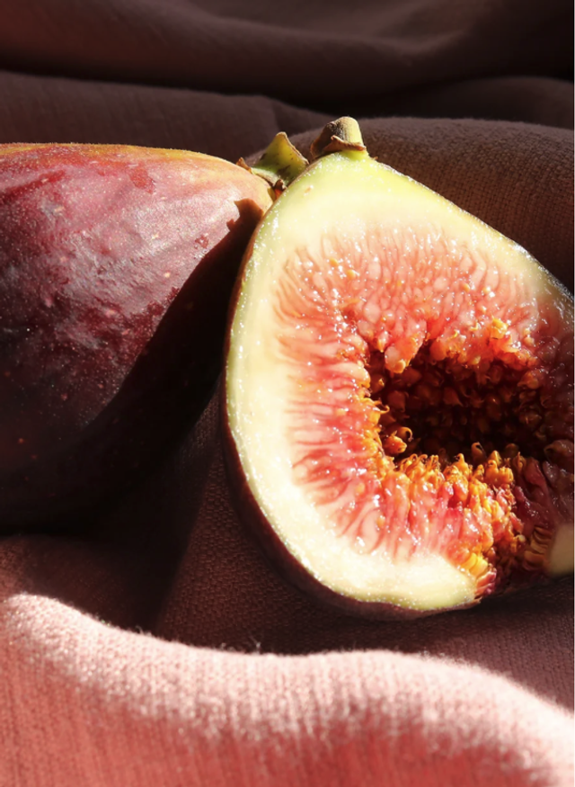 Fig Preserve 