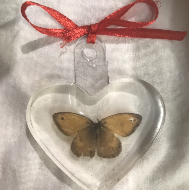 Oggetto con farfalla vera ciondolo 