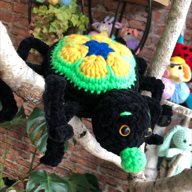 Spinne