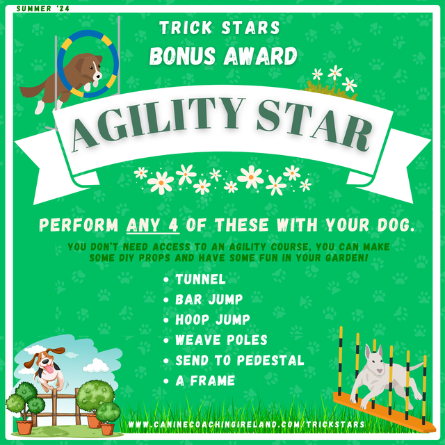 Agility Star - Cert & Rosette