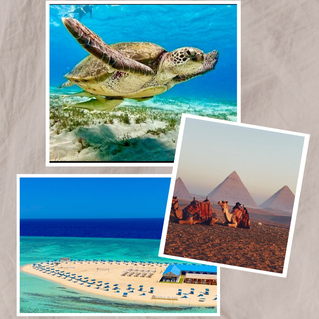 Offre Nature et culture 