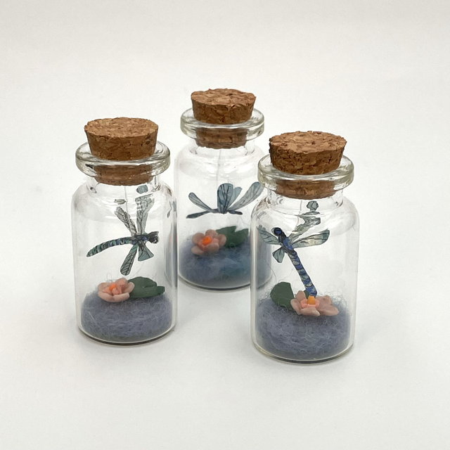 Micro Dragonfly in a bottle