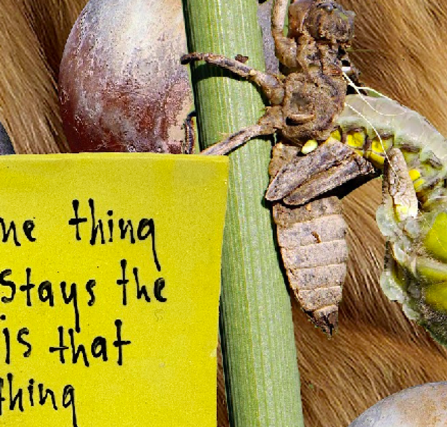 LEO 2023 - Lindsey Mendick 