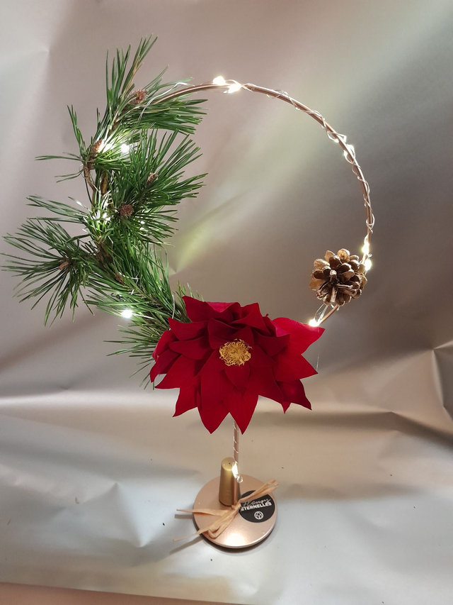 ARCEAU LED AVEC POINSETTIA STABILISE