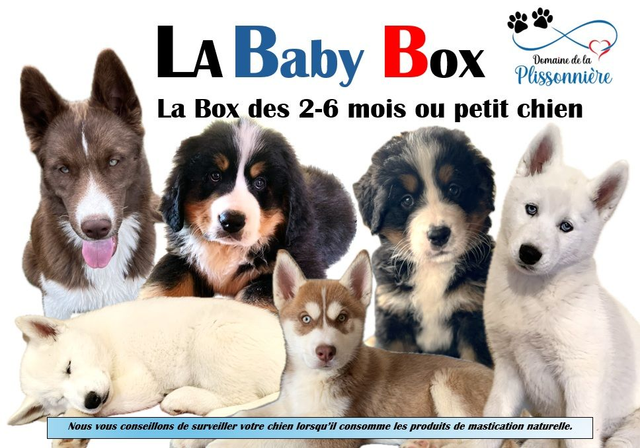 A - La Baby Box