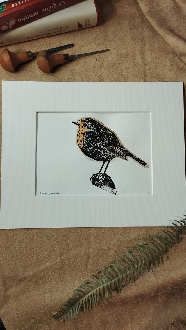 Illustration Oiseau Rouge-gorge Familier en linogravure et aquarelle