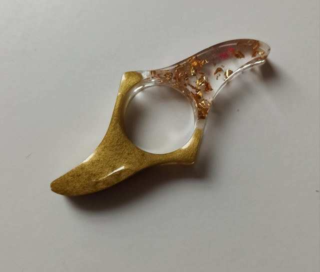 Bague de lecture (19)