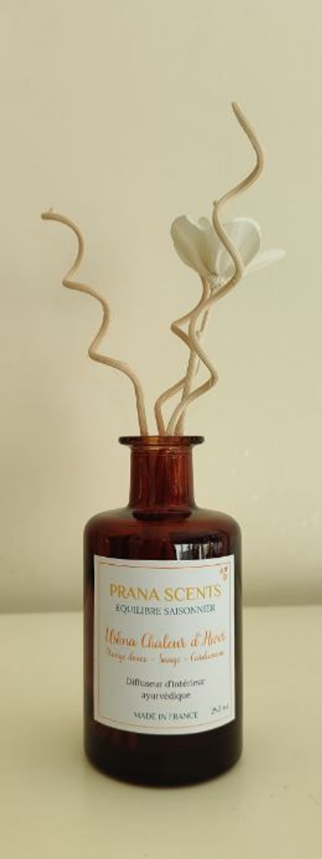 Diffuseur d'ambiance Chaleur d'Hiver