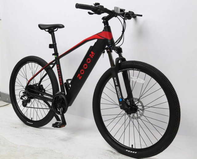 Zooom 250 Electric Bike 