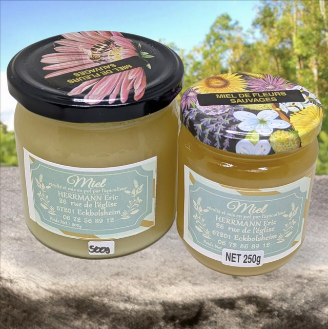 Miel de Fleurs sauvages 