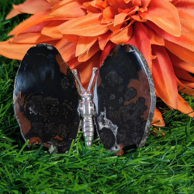 Agate Butterfly 🦋
