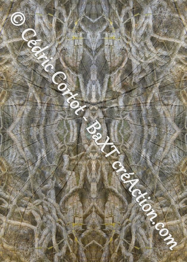 Carte postale - Entre réel et irréel (Ref IMG_0559-3)