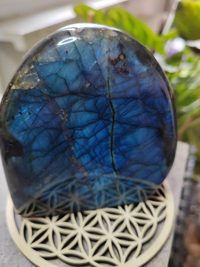 Bloc de Labradorite 750g