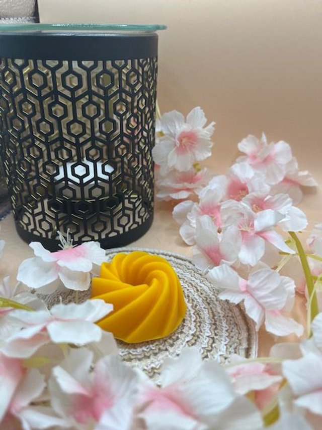 Fondant parfumé Vanille des îles - 18 grammes