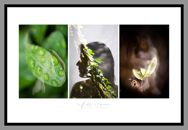 Triptyque Automne * 3