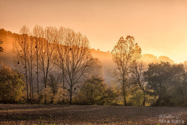Brume sur Bergouey 30X40