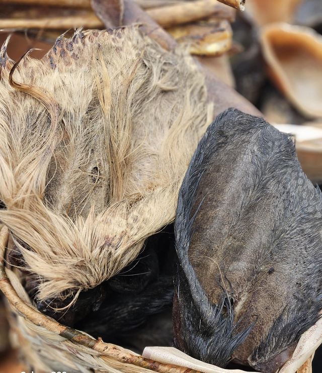  BEEF..   Hairy Cow's Ears -Air Dried 